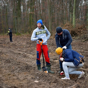 Volunteers from Krynica Vitamin planted 1300 sessile oak trees in the vicinity of the Company’s manufacturing plant in Podlasie region, - Krynica Vitamin